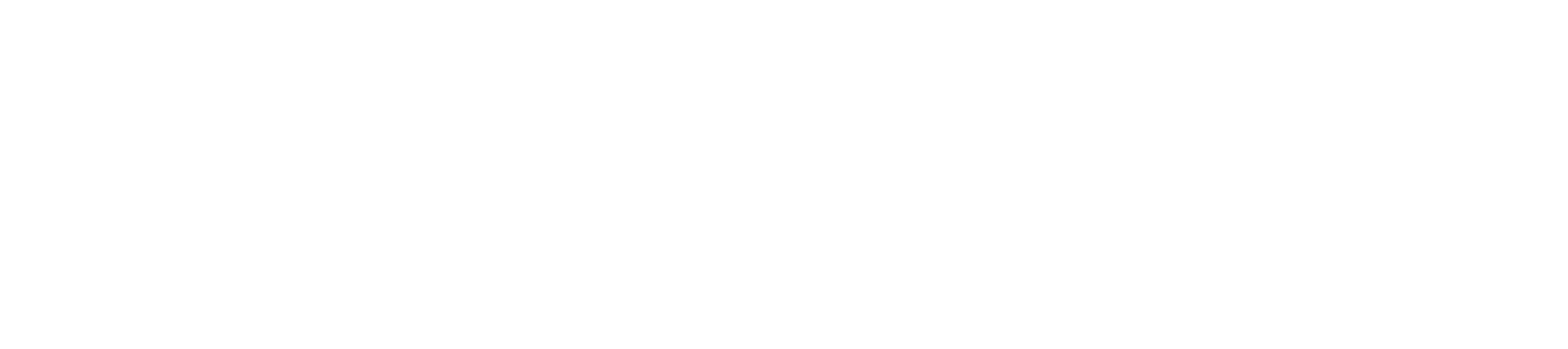 Co-funded by the European Union logo white